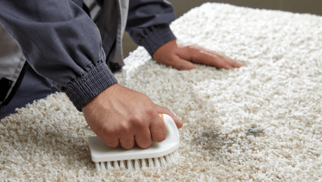 Professional Rug Cleaning Strathewen